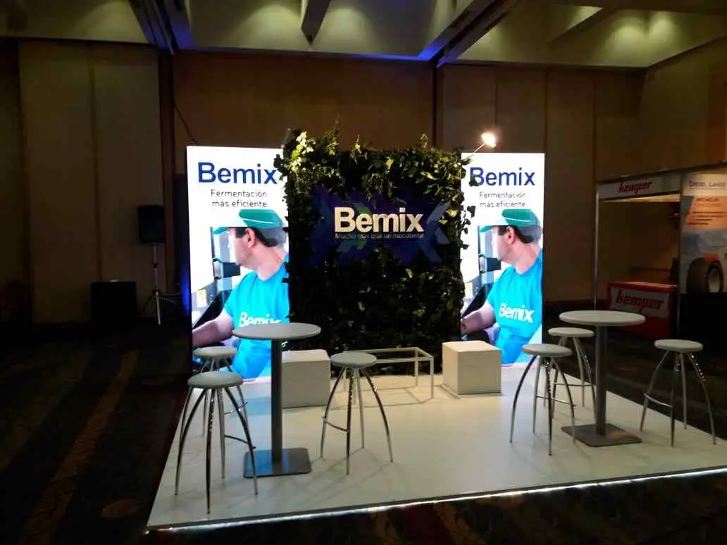 stand grupo nexus